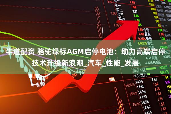 牛道配资 骆驼绿标AGM启停电池：助力高端启停技术升级新浪潮_汽车_性能_发展