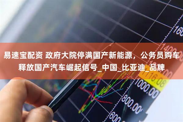 易速宝配资 政府大院停满国产新能源，公务员购车释放国产汽车崛起信号_中国_比亚迪_品牌