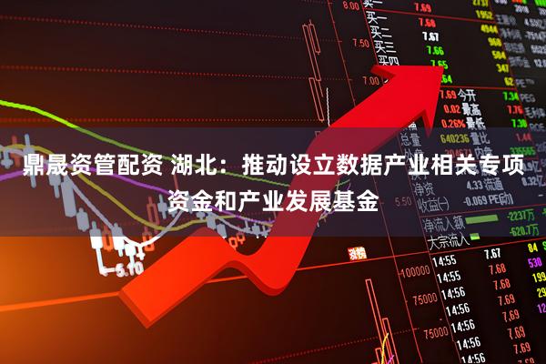 鼎晟资管配资 湖北:推动设立数据产业相关专项资金和产业发展基金