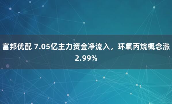 富邦优配 7.05亿主力资金净流入，环氧丙烷概念涨2.99%