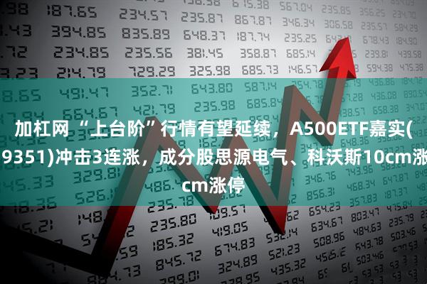 加杠网 “上台阶”行情有望延续，A500ETF嘉实(159351)冲击3连涨，成分股思源电气、科沃斯10cm涨停